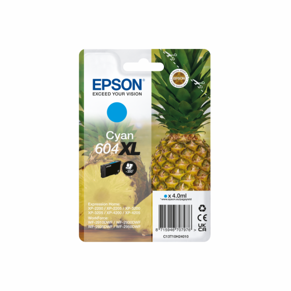 Epson ink C13T10H24010  T10H240, 604XL  