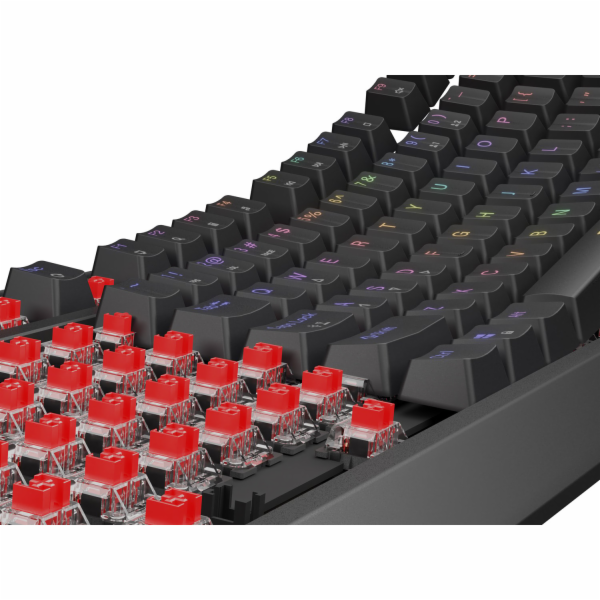 Genesis herní klávesnice THOR 230/TKL/RGB/Outemu Red/Drát...