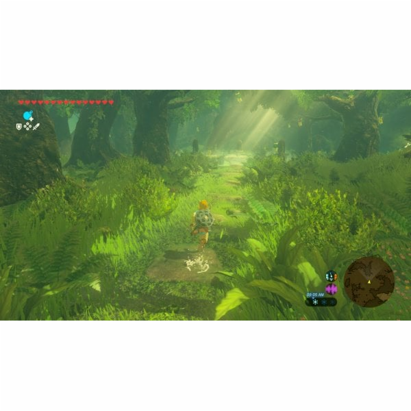 Legend of Zelda: Breath of the Wild (Nintendo Switch 2 Ed...