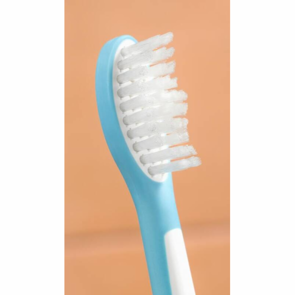 PHILIPS Hlavice zubního kartáčku HX6042/90, modrobílá