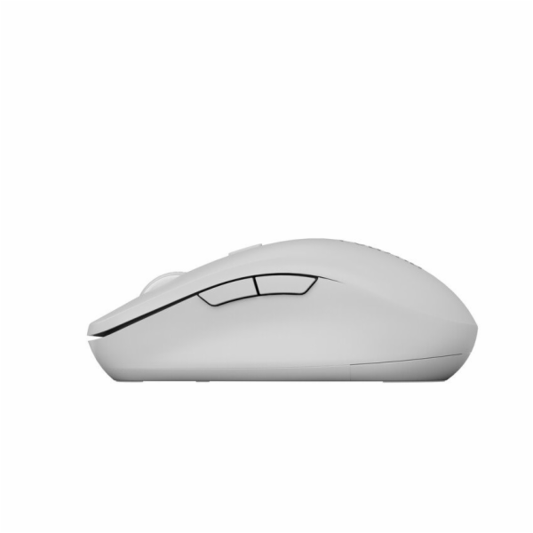 CANYON mouse MW-12 Dual band Wireless Beige