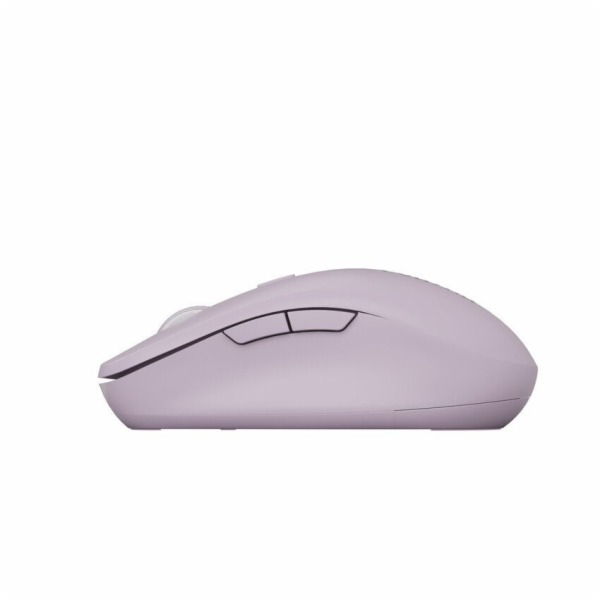 CANYON mouse MW-12 Dual band Wireless Pink