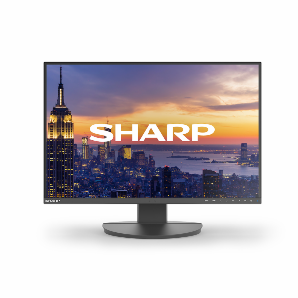 NEC DD-EA242W - LED monitor - 24" - 1920 x 1200 WUXGA - I...