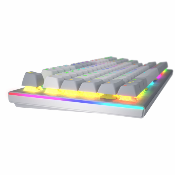 Hator Klávesnice Gravity TKL RGB Aurum Orange (HTK561)