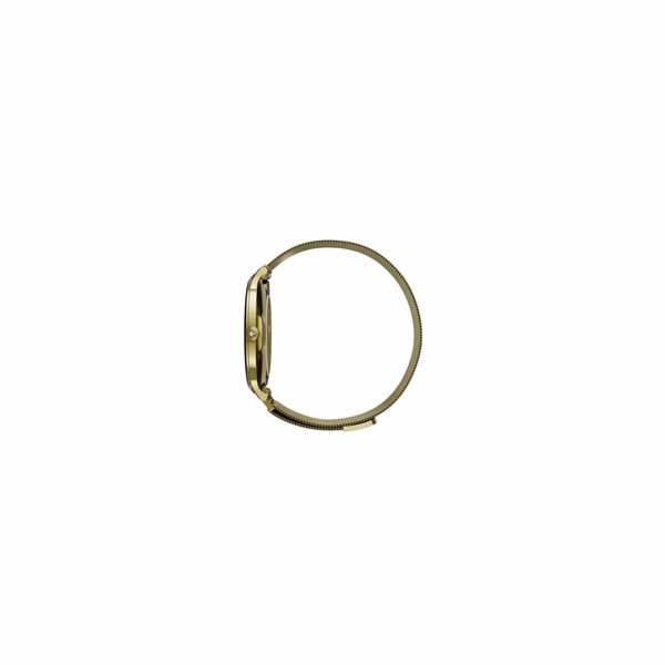 Garett Smartwatch Verona 2 zlatá MESH steel