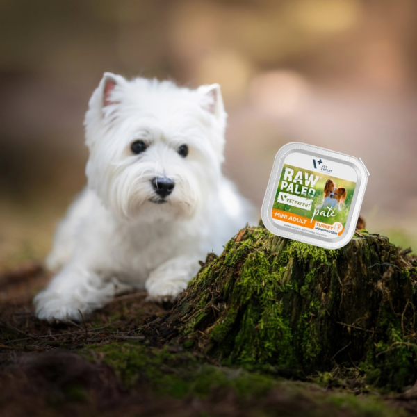 EDAL KONS DOG RAW PALEO LITTLE KALAK 150G