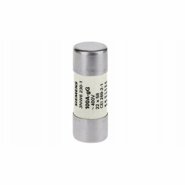 Siemens Válcová pojistková vložka gG NFC 22x58mm 500V AC ...