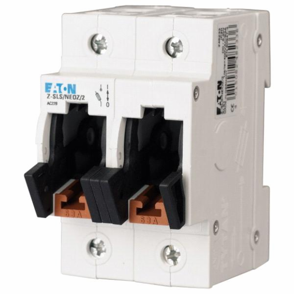 Eaton Patice spínače 63A D02 2P 400V Z-SLS/NEOZ/2 248233