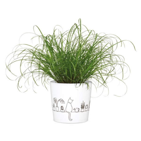 Hrnec Scheurich Catview 65577, keramika, H 13 cm, bílý