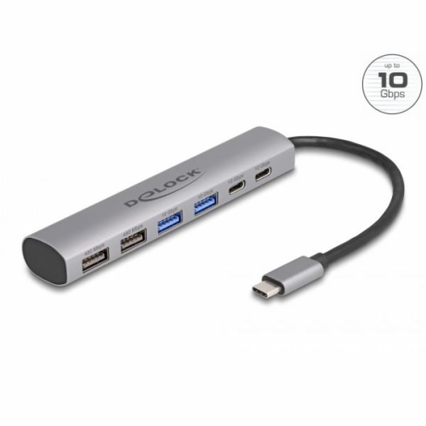 Delock 6 portový rozbočovač USB se 4 x zásuvkami USB Typu...