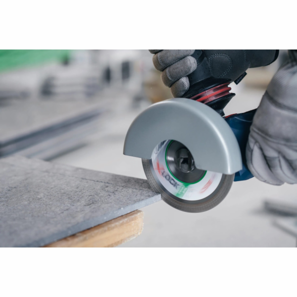 Bosch X-LOCK DIA-TS 125x22 23 BfC Turbo