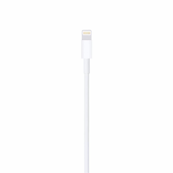APPLE Lightning na USB kabel (1 m)