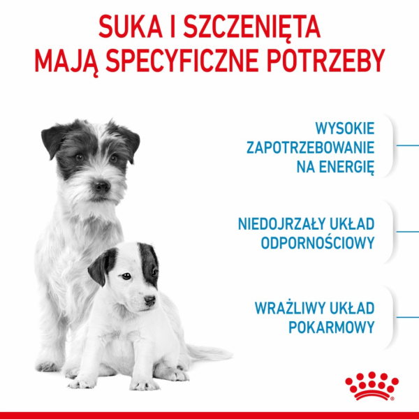 Royal Canin Mini Starter Mother & Babyd