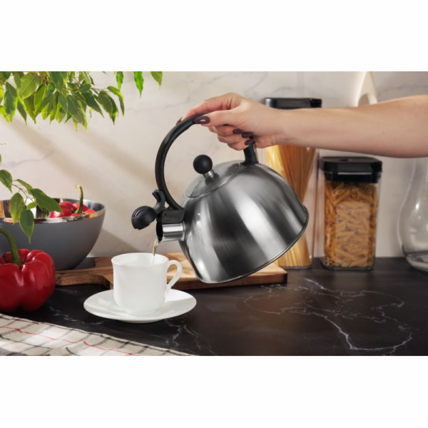 Konvice varná čajník 2,5 l nerez MagicHome