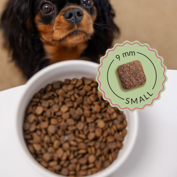 ADDVENA Boosted by superfoods Junior Small Beef - suché k...