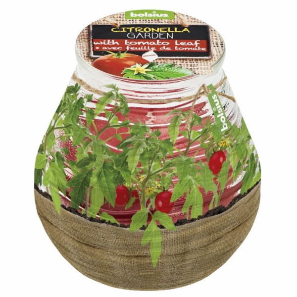 Bolsius Teracce Citronella svíčka, repelent, 94/91 mm, rajče