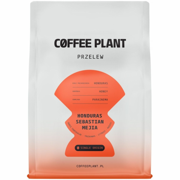 Coffee Plant Kávová rostlina - Honduras Sebastian Mejia H...