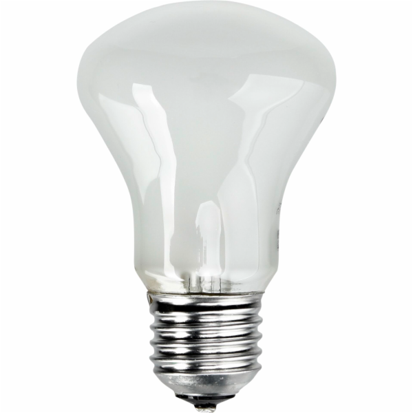 Elinchrom zarovka 196V/100W  E 27