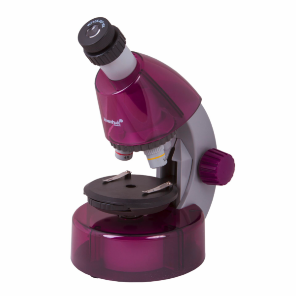Levenhuk LabZZ M101  amethyst  DE