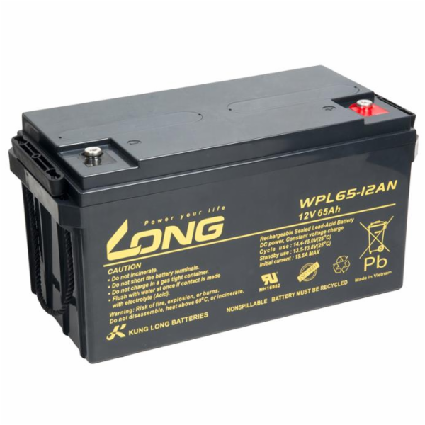 Baterie Avacom Long 12V 65Ah olověný akumulátor M6 LongLi...