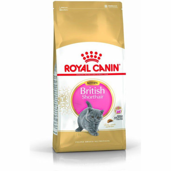 Royal Canin British Shorthair Kitten suché krmivo pro koč...