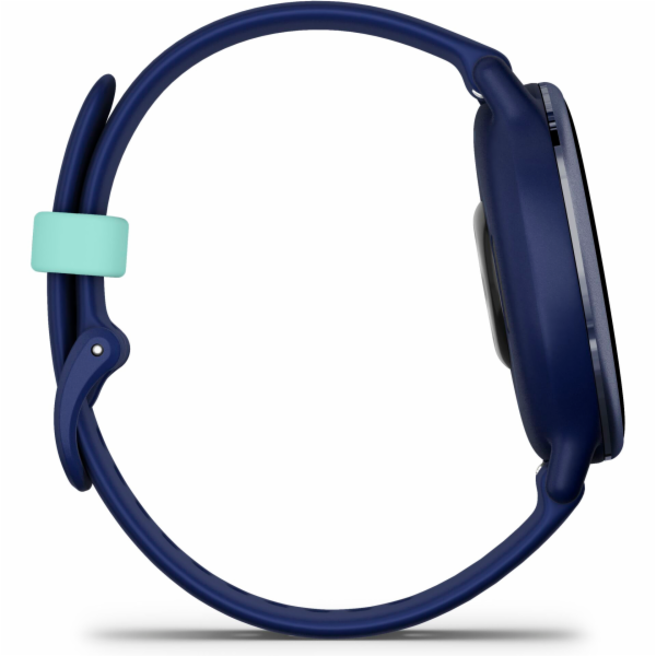 Garmin vivoactive 5  Royal Blue / Blue