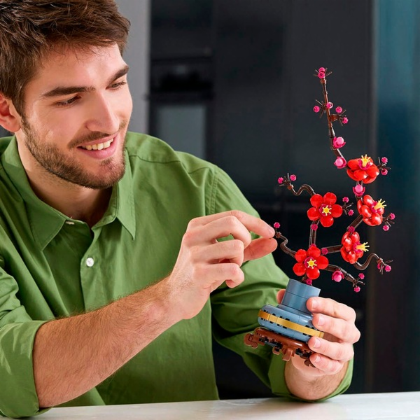 LEGO Icons 10369 Botanicals