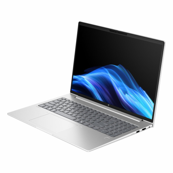 HP ProBook 4 G1a 16, Ryzen 7 250, 16.0 1920x1200 UWVA/300...