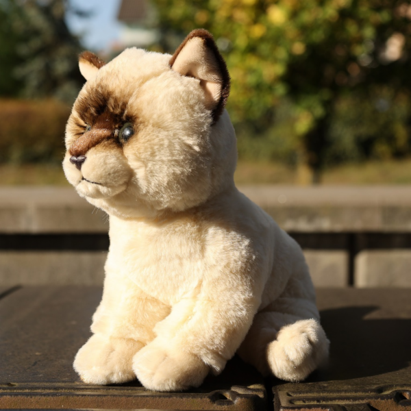 Rappa Plyšová kočka Ragdoll 23 cm SOFT COLLECTION, ECO-FR...