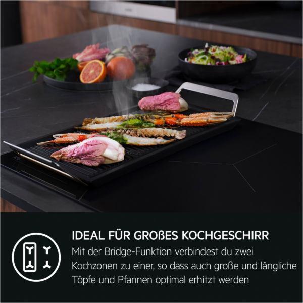 AEG TO74IB00UB  induction cooker Autark