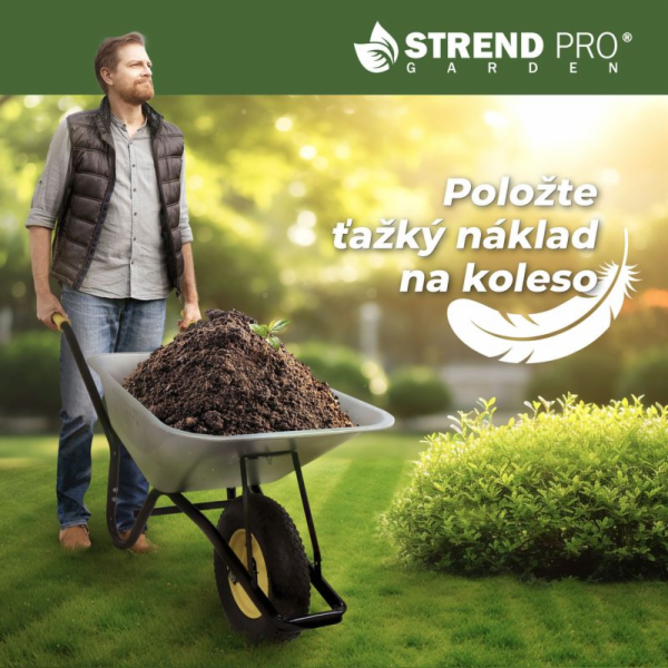Kolečko Strend Pro Premium Fortis BLACK ES, kolo PN nafuk...