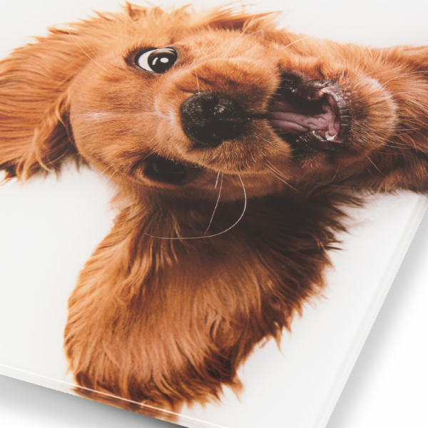 Zelmer ZBS1010 Crazy dog kuchyňská váha