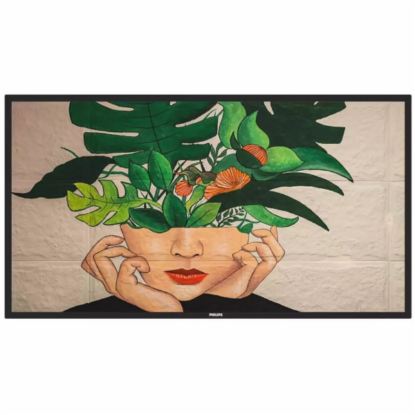 65" D-LED Philips 65BDL4511D/00