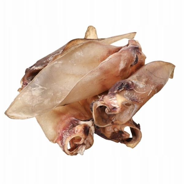 PETITTO Beef ear with cartilage Mono - pamlsek pro psa - 10