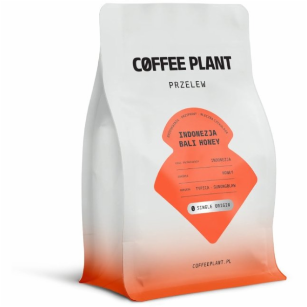 Coffee Plant Kávová rostlina - kávová zrna Indonésie Bali...