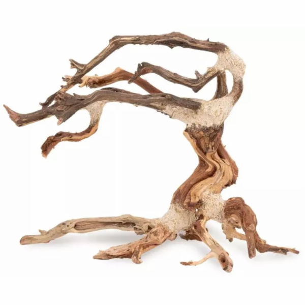 Terra Natura Potápějící se bonsai č. 24 25x20