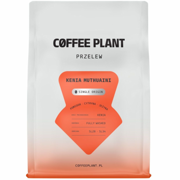 Coffee Plant Kávová rostlina Kenya Muthuaini 250g kávovýc...