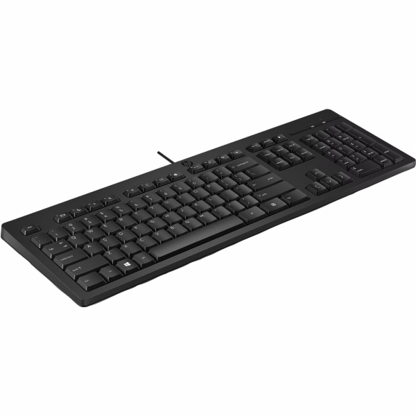 HP 125 G2 USB WD KBD Bulk