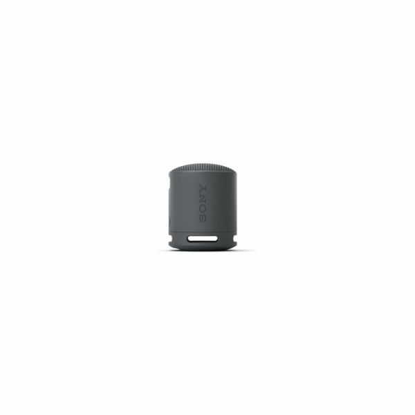 SONY SRS-XB100B