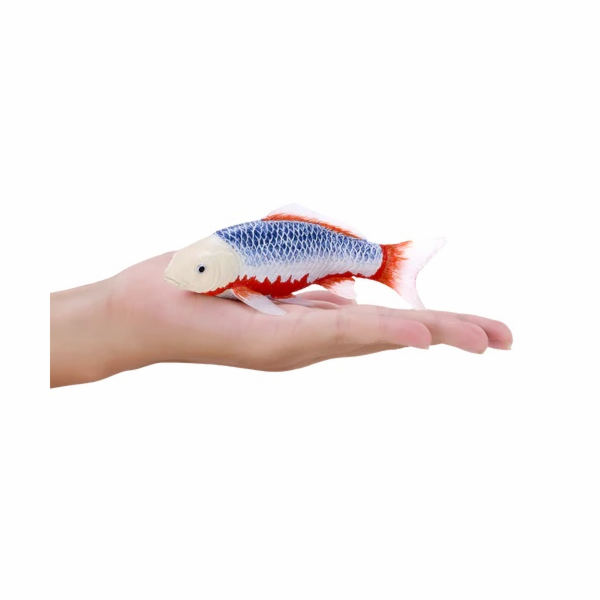 Mojo Kapr koi asagi v krabičce