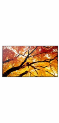 50" LED SHARP M502,3840x2160,24/7