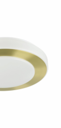 Svítidlo Plafon Eglo CARPI, 10,8 W, LED, 900369