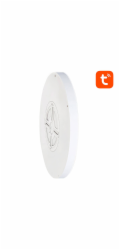 Smart ceiling lamp 30cm WiFi/Bluetooth 16M RGBCW Gosund LB12 1920lm Tuya + Remote Control.