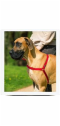 PetSafe® Postroj EasyWalk červený L