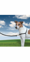PetSafe® Postroj EasyWalk černý S