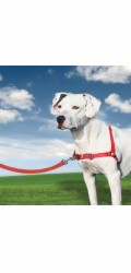 PetSafe® Postroj EasyWalk červený M