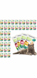 ANIMAL ISLAND Everyday Beef and chicken fillets in broth Box - mokré krmivo pro kočky - 40 x 85g
