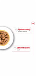 ROYAL CANIN Mini Ageing - mokré krmivo pro psy -  12 x 85g