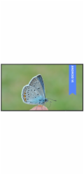 Benq Velkoformátový monitor 65 palců ST6504 LED 4K 1200:1/3840x2160/HDMI