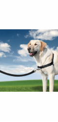 PetSafe® Postroj EasyWalk černý M